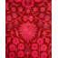 Fine Vibrance One-of-a-Kind 4' 2" X 6' 3" Hand Knotted Area Rug