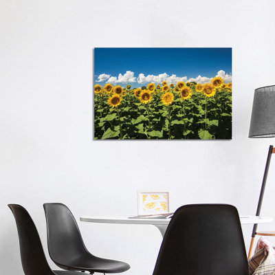 Field of Sunflowers 1 Piece Wrapped Canvas Wall Art