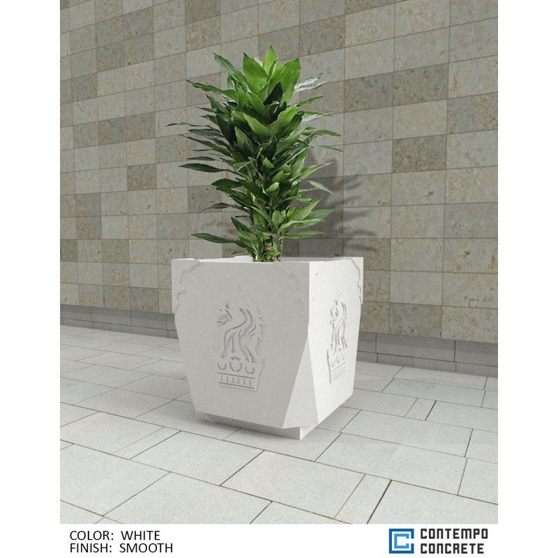  Jardinière royale, Blanc lisse