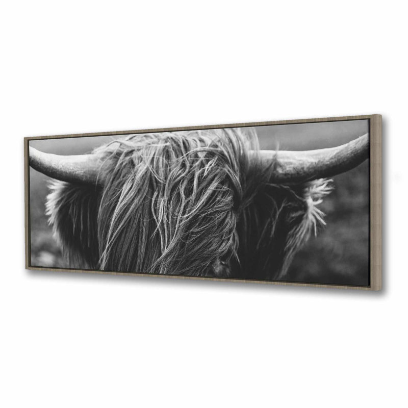 Toile de vache monochrome Highland - encadrée blanche