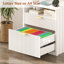 73cm Wide 2 -Drawer File Cabinet-2021688806