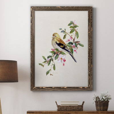 Spring Song Pine Grosbeak - cadre photo, impression sur toile
