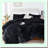Plush Black Velvet Queen Comforter Set - Fluffy Fuzzy Double-Sided Bedding with Soft Shaggy Texture - 3 Piece Set with 1 Comforter and 2 Pillowcases