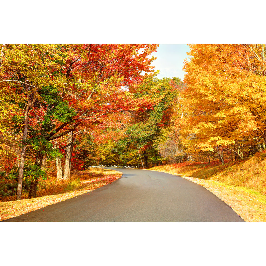 Scenic Autumn Road von DenisTangneyJr - Druck auf Leinwand ohne Rahmen