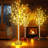 Lighted Trees & Branches