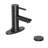 Single-handle Bathroom Faucet with Drain Assembly-100821236
