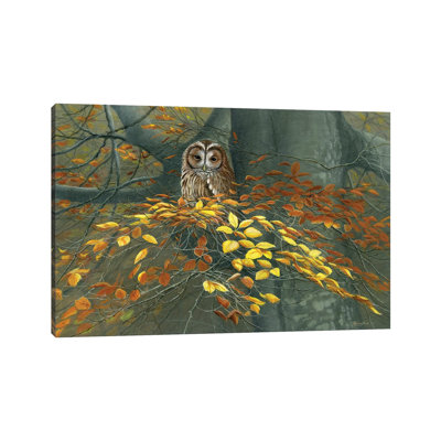Tawny Owl Autumn par Jeremy Paul - Giclée sur toile tendue avec châssis
