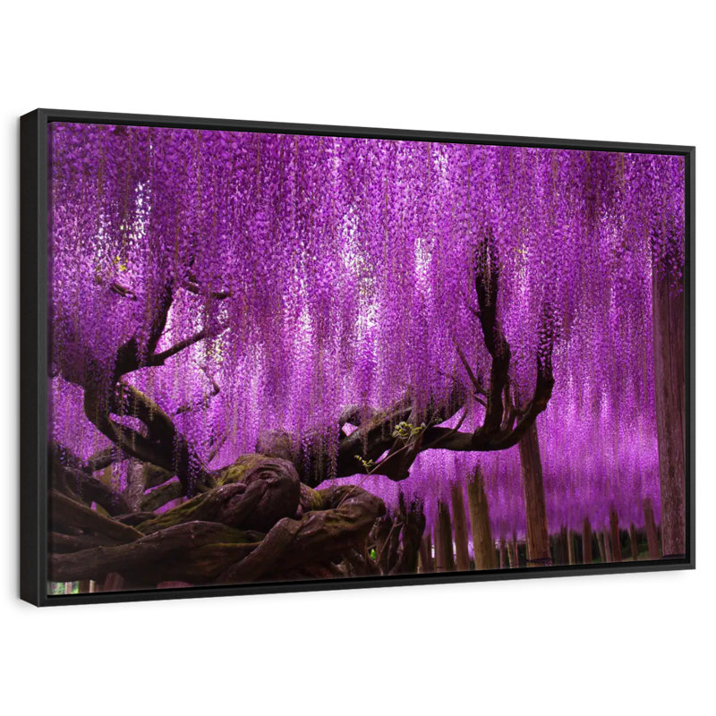 Wisteria Willow Tree, 25" X 17", Floating Frame Black
