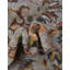 Tapis oriental bleu -69121039