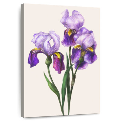 Harnek Garden Floral I