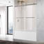Porte de douche coulissante double sans cadre avec verre trempé de 3/8 po de l 56 à 60 po x H 66 po-102759175