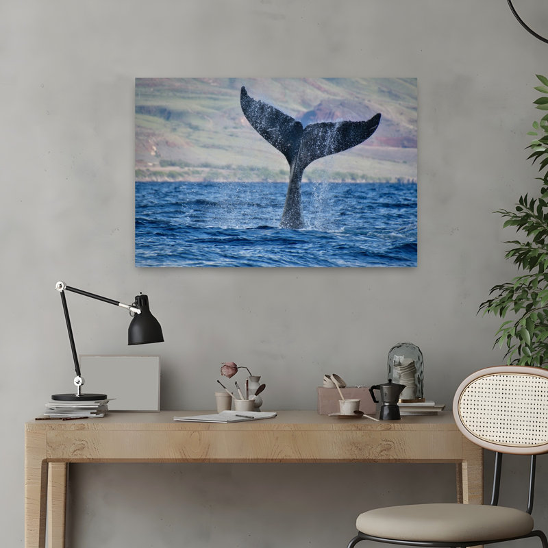 Art contemporain, art contemporain, baleine, H 16 po x l 24 po