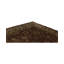 Wool Oriental Area Rug