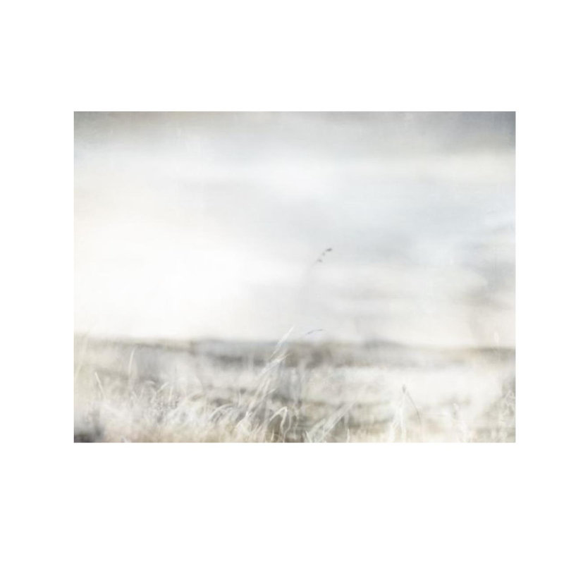 «Warm Meadow II» par Elena Carlie - Peinture, Couche de verre, H 24 po x l 32 po x P 1,5 po