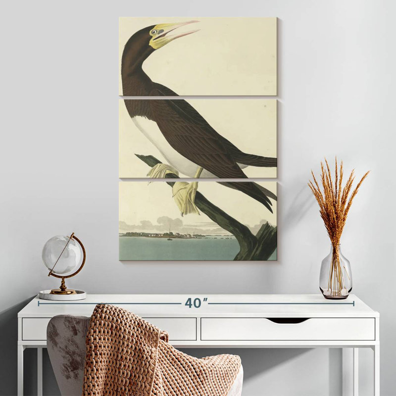 Brampt Booby Gannet, 32" H x 20" W