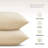  Square Pillow Insert-846147800