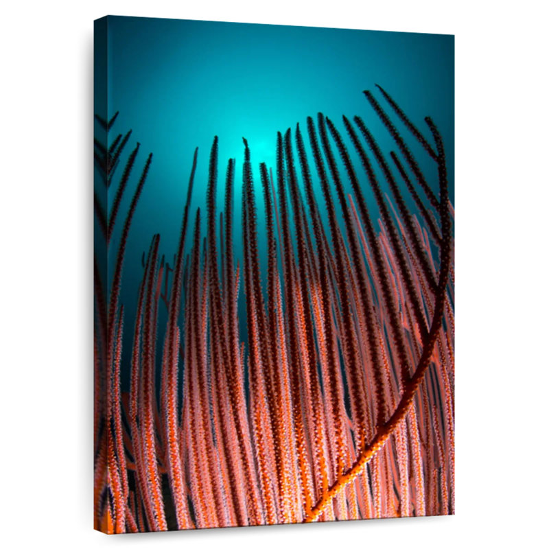 Brampt Coral And Teal, 24" H x 16" W