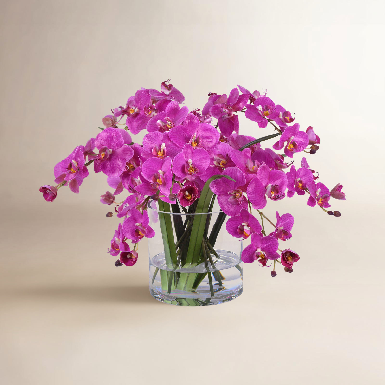 Orchid Floral Arrangement