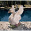 Statue majestueuse du lac Swan-9559116