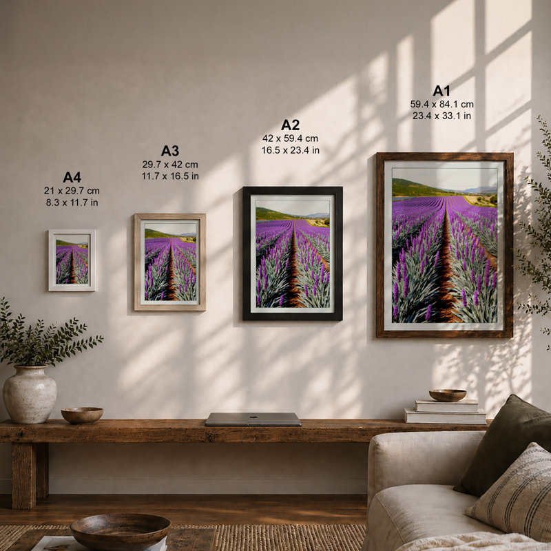 Lavender Fields Botanical - Framed Print, A2 - 59.4 x 42.0 cm, Unframed