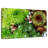 Harnek Succulent Varieties-107859063