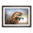 Walnut Framed selected