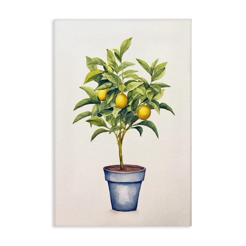«Citrus Serenade Plant», conception par Andrea Haase, H 30 po x l 20 po