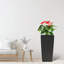 Grand pot à fleurs avec trous de drainage et plateaux intérieurs-1225616504-1225616506-1225616502