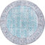 Mauri Chenille Oriental Indoor Rug
