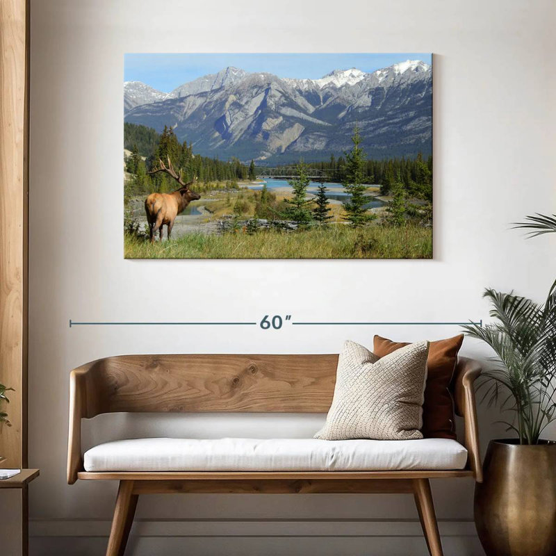 Jasper Elk, 30" H x 45" W