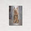 «Silky Terrier I» par Solveiga-548499156