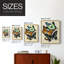 «Collage Butterflies I-Premium», reproduction encadrée prête à accrocher - aucun clou requis - aucun clou requis-346091631-346091625