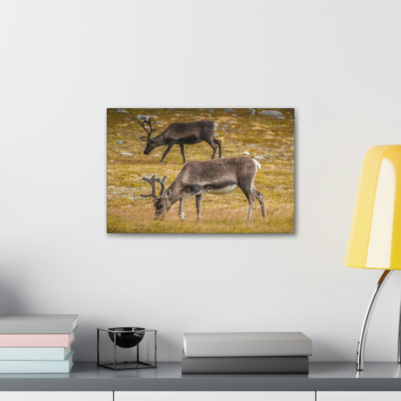 No Frame Print on Canvas
