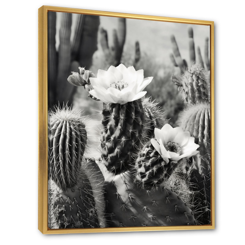 Keymari Gray Desert Cactus III sur toile, H 44 po x l 34 po x P 1,5 po, Cadre flottant doré
