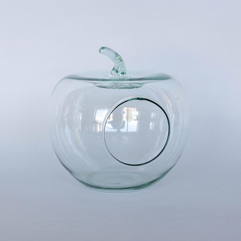 Glass Apple Terrarium Decoration