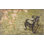 Claudette " Park Bench " by Claudette