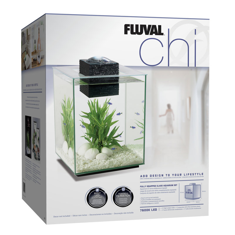 Ensemble d'aquarium Fluval Chi II, 5 gallons (remplace 10506)