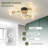 Iftikar 33“ Ceiling Fan with 6 lights