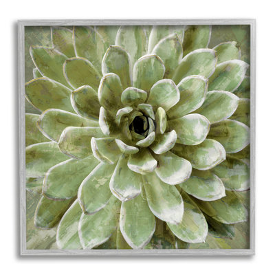 " Succulent Plant Abstract View " Acrylic Painting