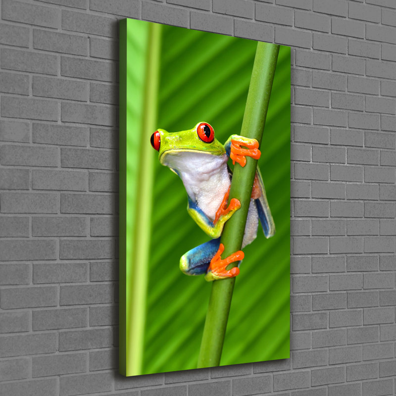 Hapeville Tree Frog - Wrapped Canvas Print