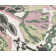 Valentina Floral May Flowers Area Rug
