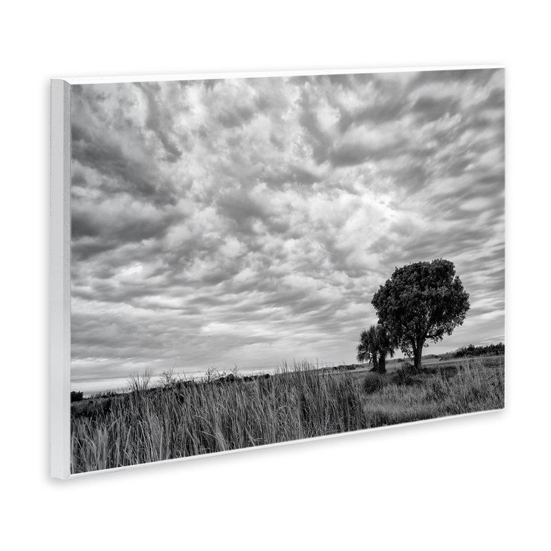 «The Right Tree Cloudscape», plaque murale par Jon Evan, H 10 po x l 15 po