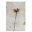Red Fern II Painting by Chelsea Art Studio-26727499-26727502