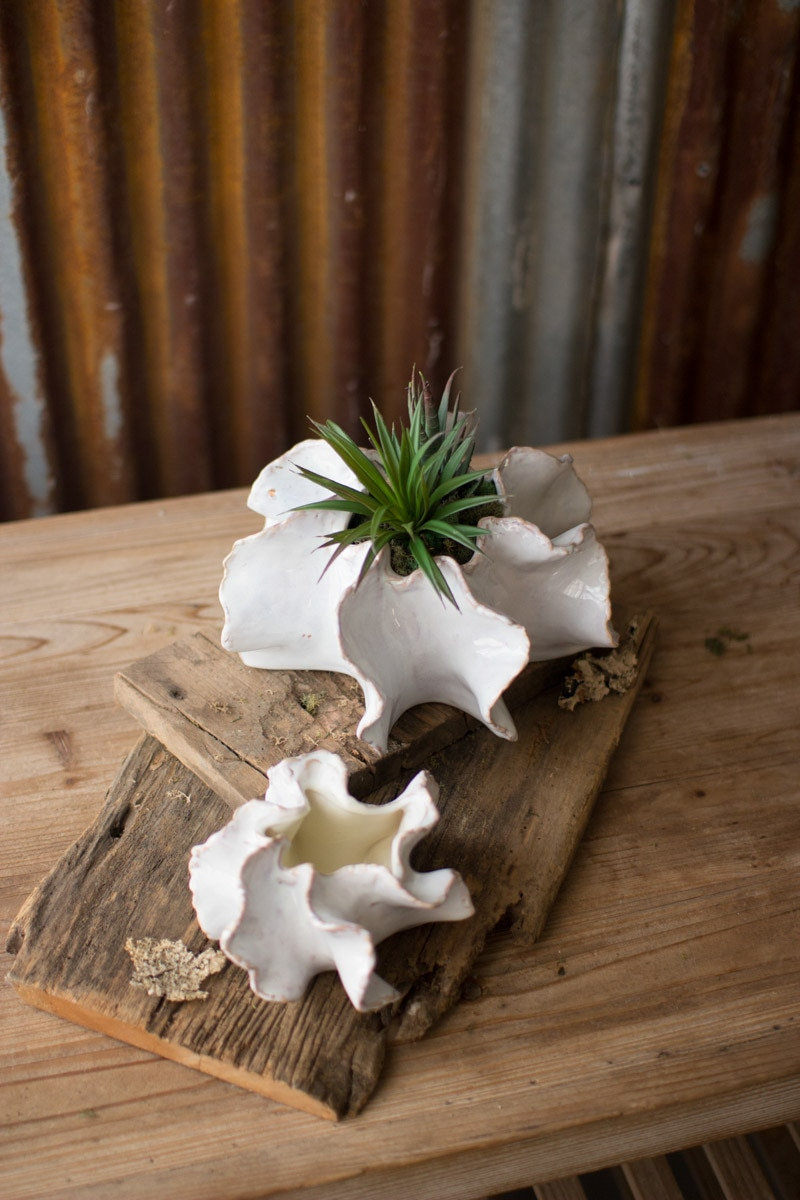 10" Ceramic Pot Planter