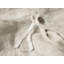 Cambria Linen Duvet Cover-1397253282-1376708056