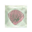 Sally Seashells Stripe-2007160500