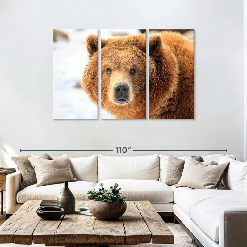 Regard d'ours grizzly, H 48 po x l 74 po