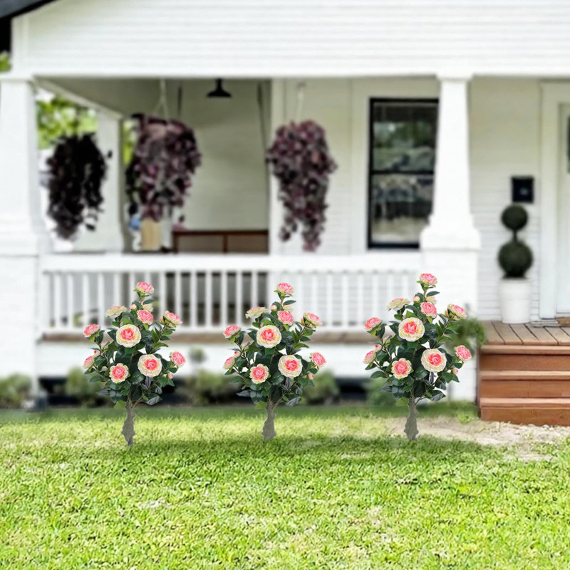 Arrangement