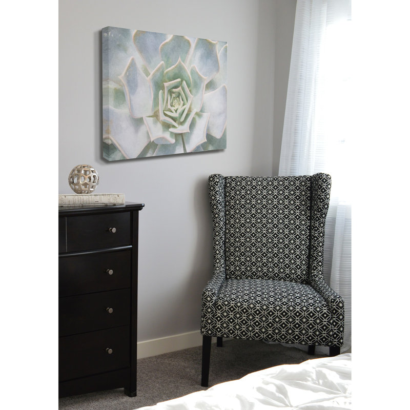 « succulent plante délicate rosée », impression, H 16 po x l 20 po x P 1,5 po, Toile