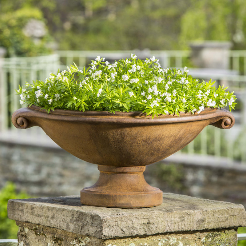 Medici Urn Planter, English Moss